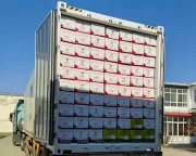 Textile export business