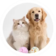   Pet Carts & Pet Supplies 