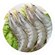   Frozen & Instant Food 