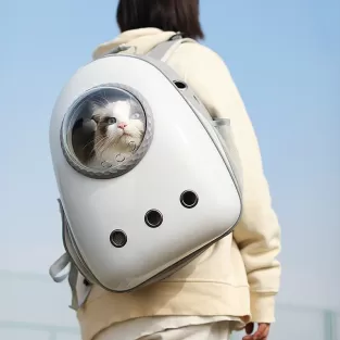 Pet Carrier