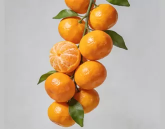 Fresh Sweet Sugar Mandarins