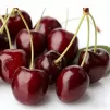 Imported Chilean Fresh Cherries