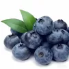 Imported Peruvian Fresh Blueberries