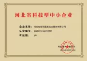 ShiMaoTong Recognized as 2025 Provincial Technology-Based SME, Strengthening Innovation Leadership in Foreign Trade