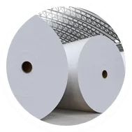   Base Paper